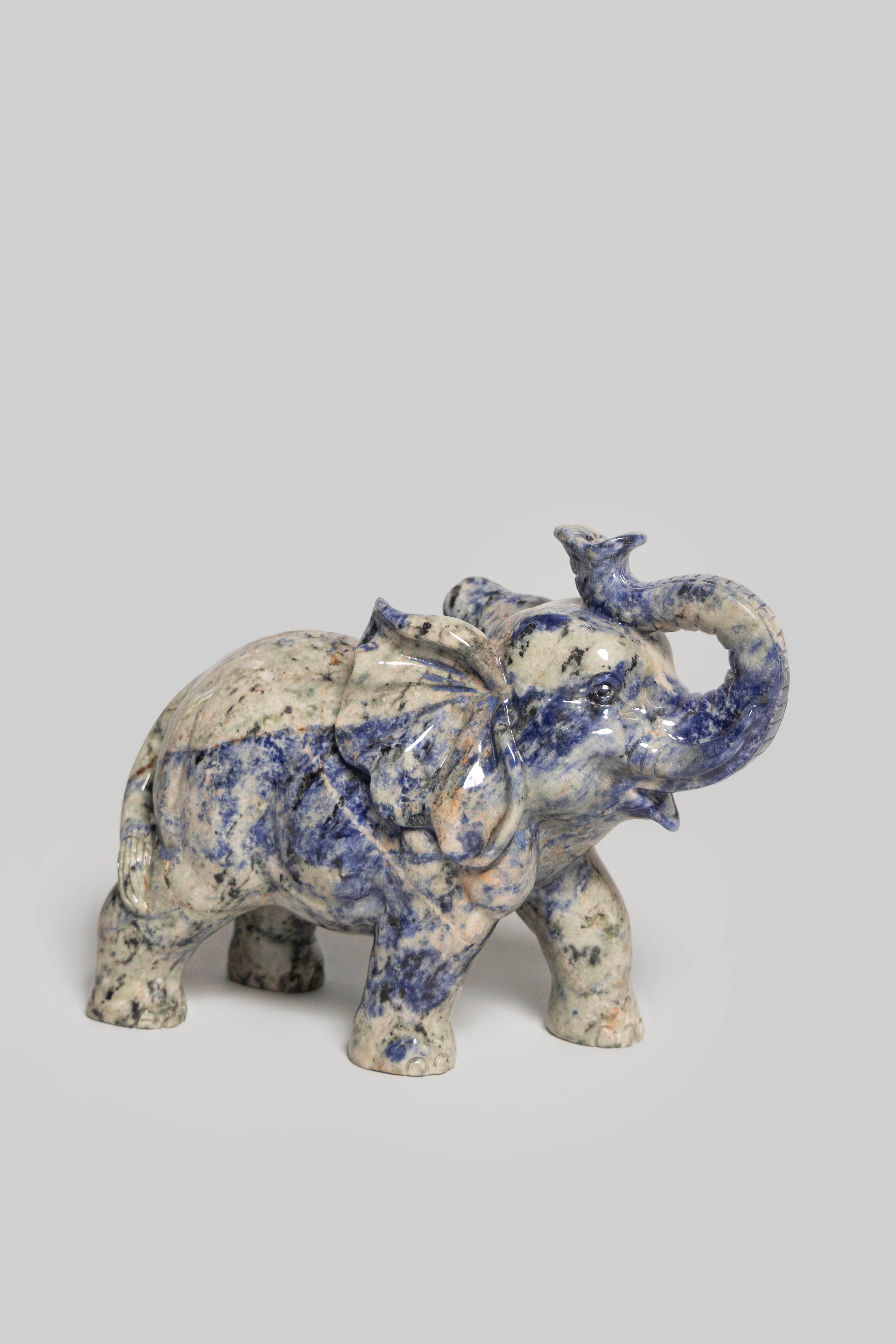 Midnight Elephant (Trunk Up)