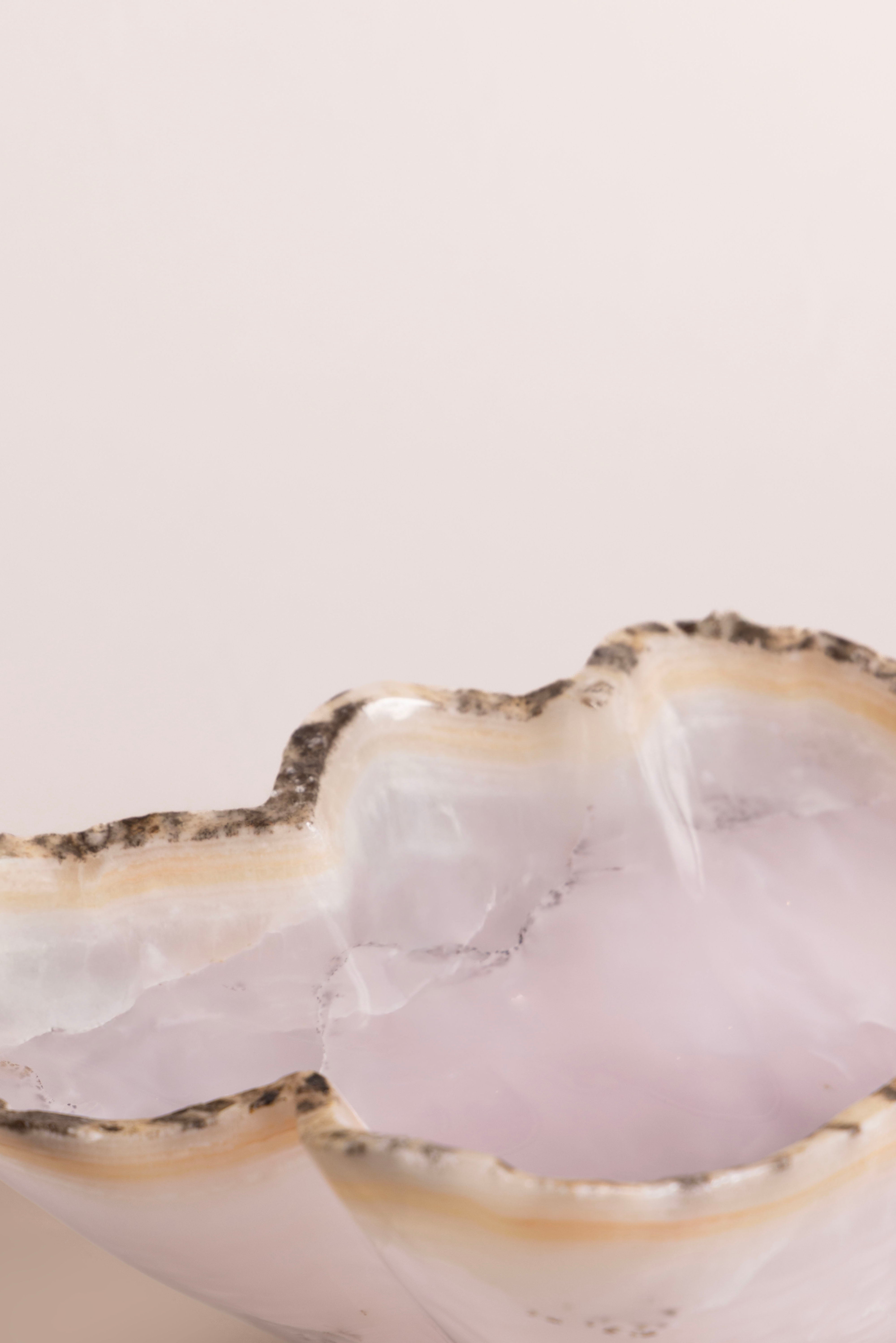 Celeste Shell Bowl
