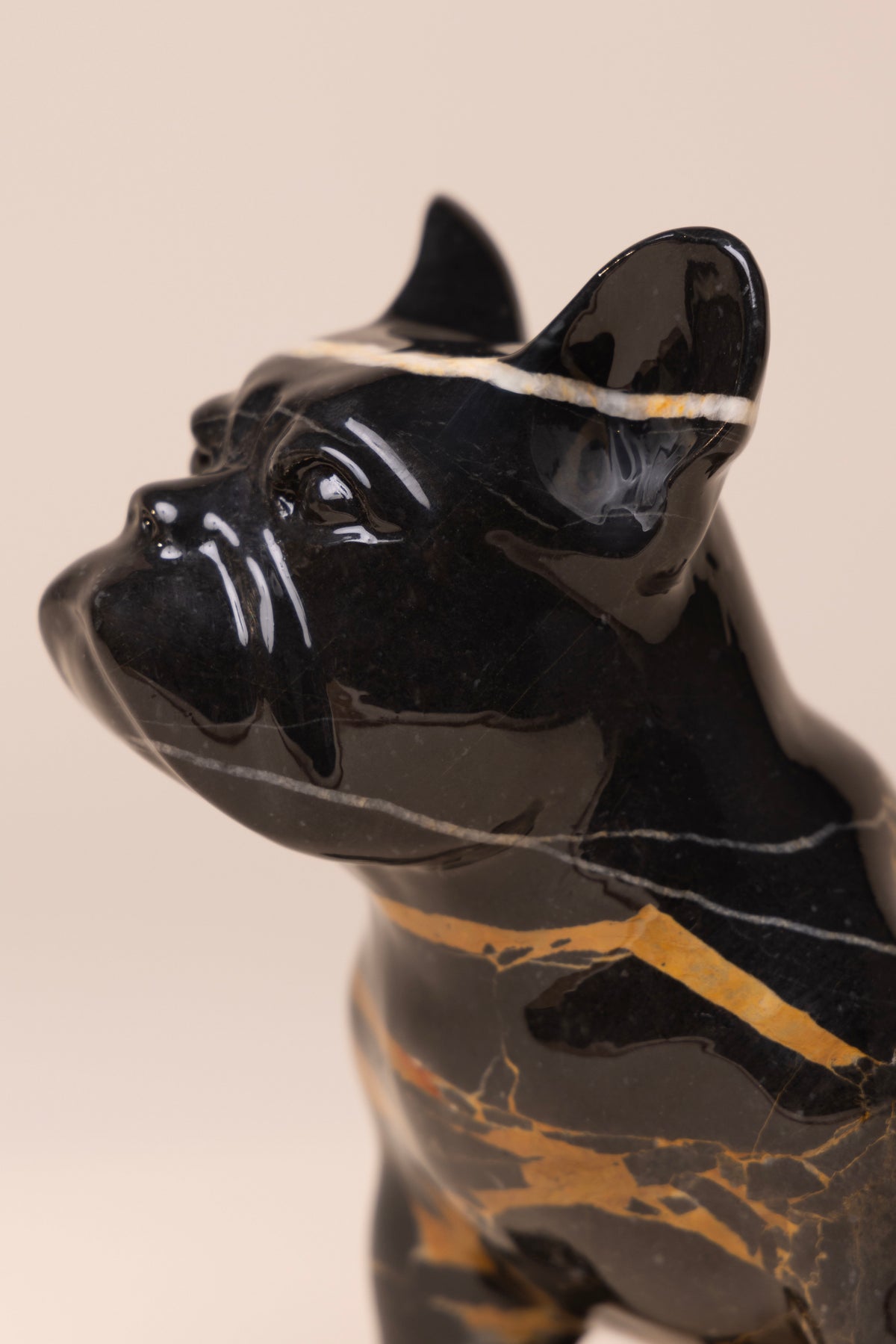 Rebel Heart Bulldog