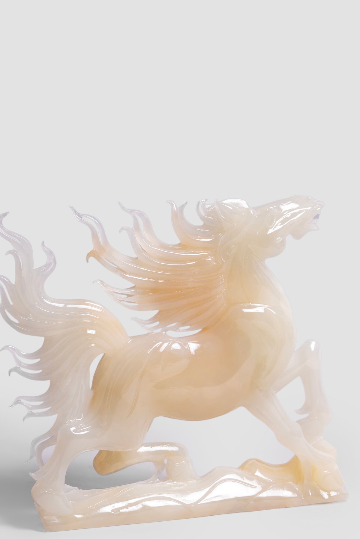 Windcrest Stallion