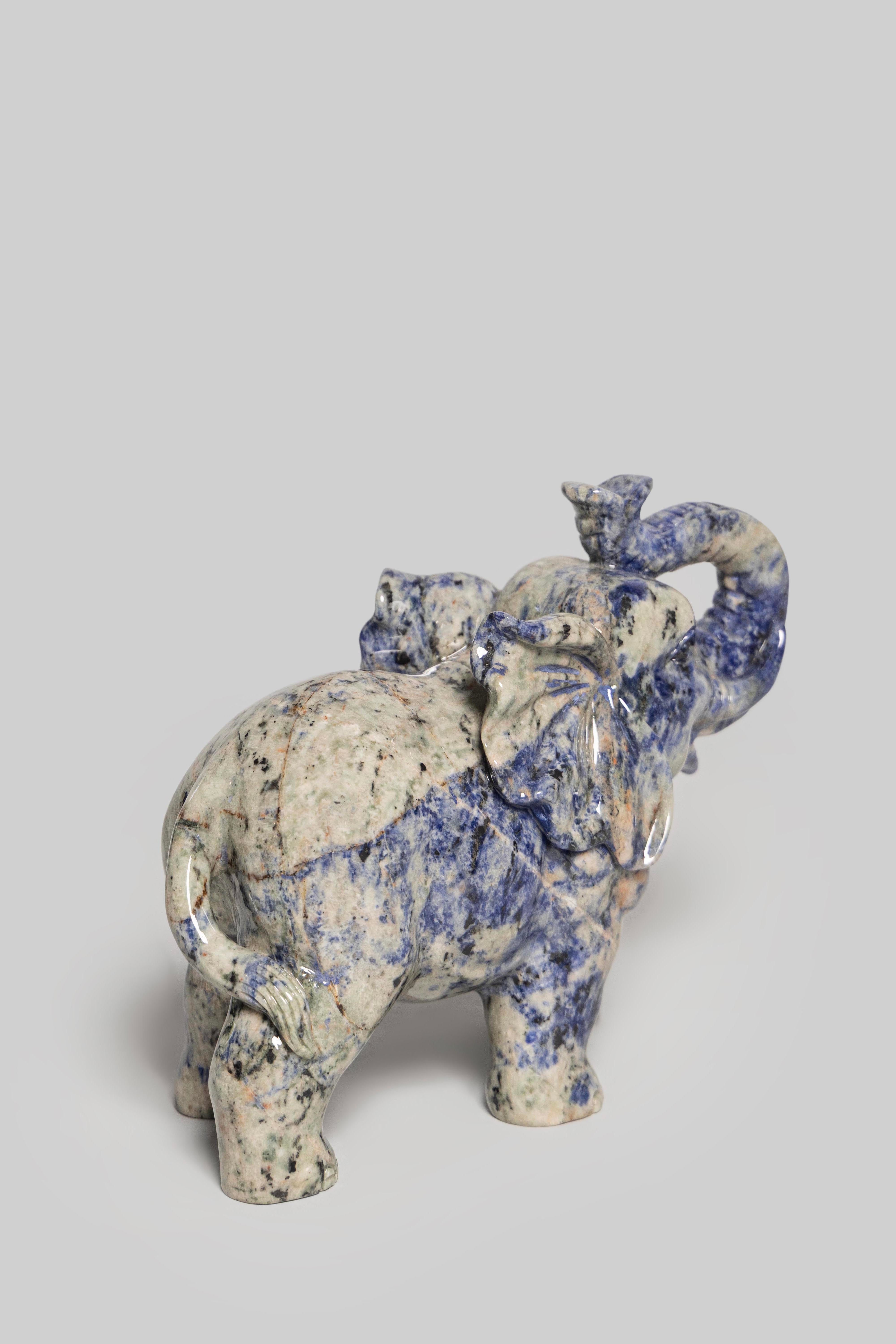 Midnight Elephant (Trunk Up)