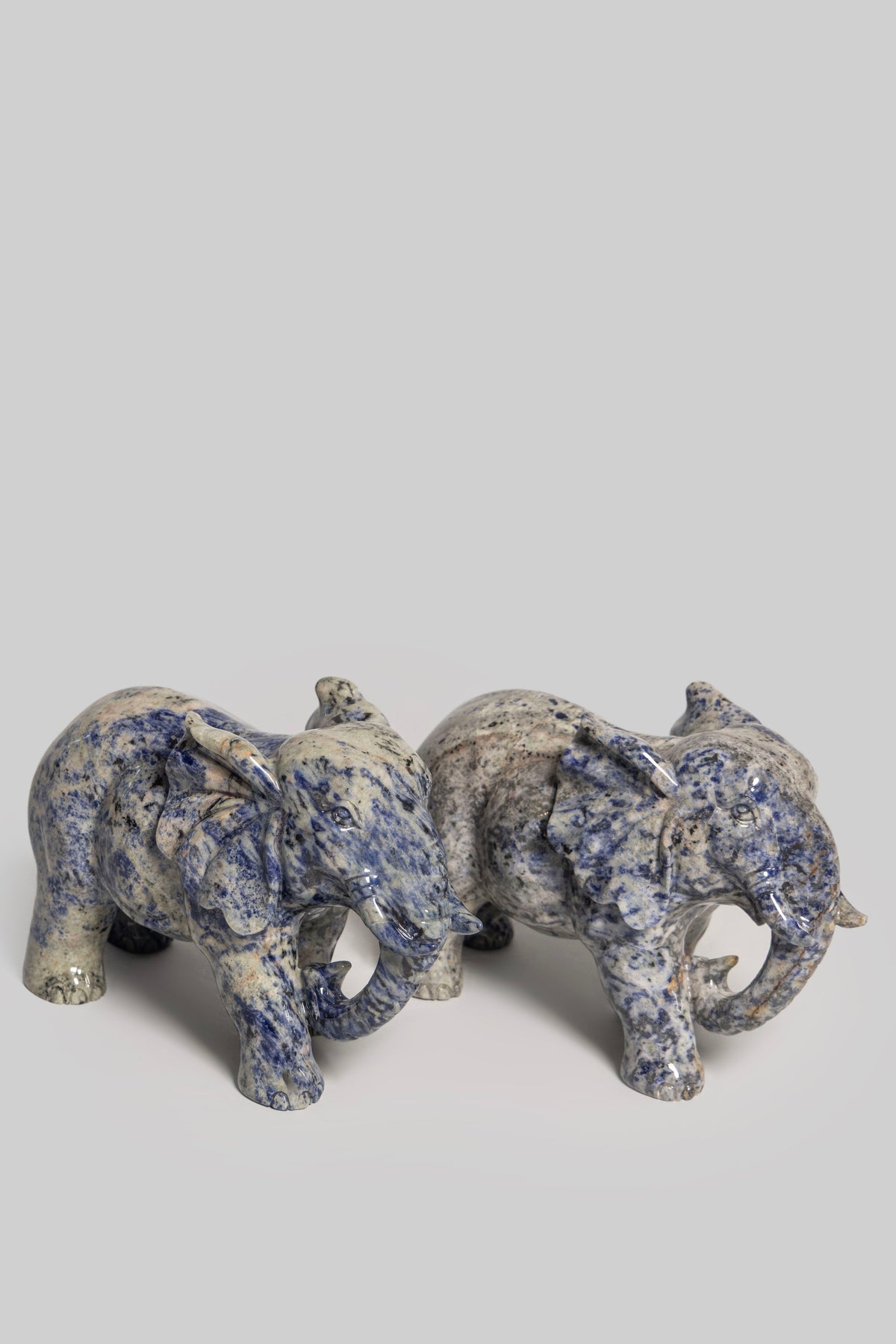 Midnight Elephant (Trunk Down)