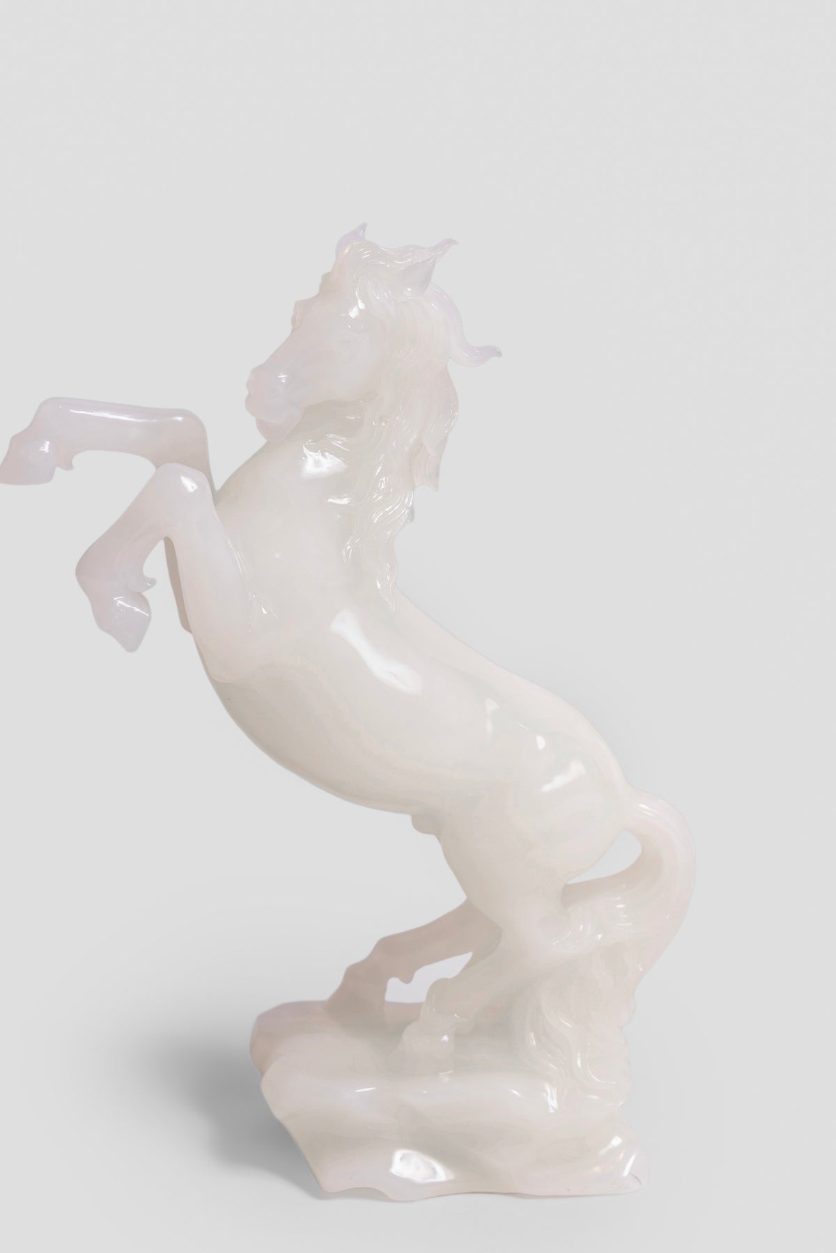Majestic Stallion