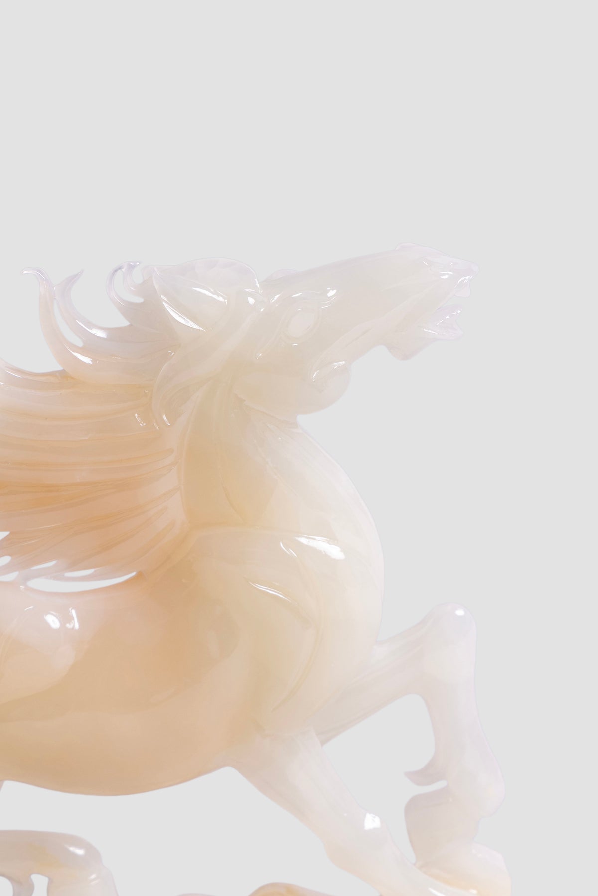 Windcrest Stallion